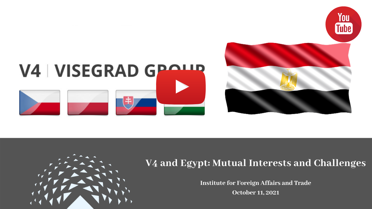 V4 and Egypt: Mutual Interests and Challenges