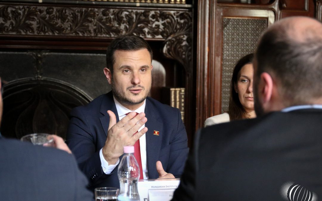 Predrag Zenović, Montenegró EU-s főtárgyalója az MKI-ban