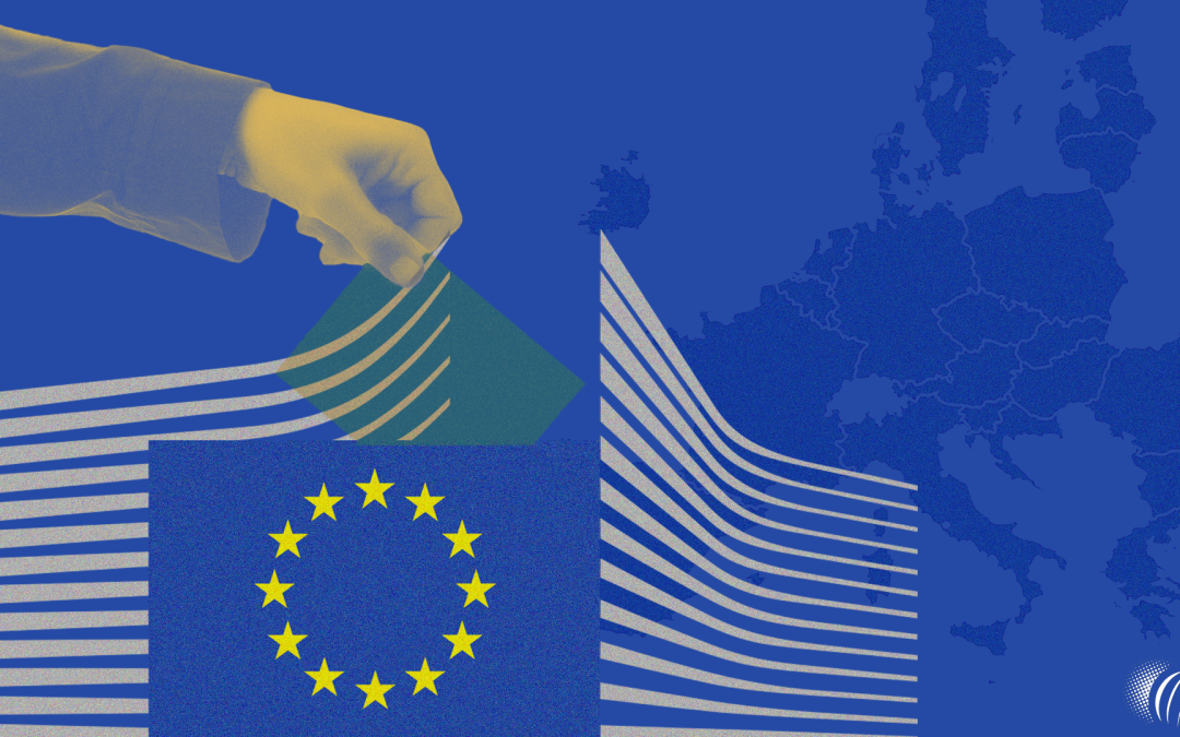 What Can We Expect from the New European Commission?